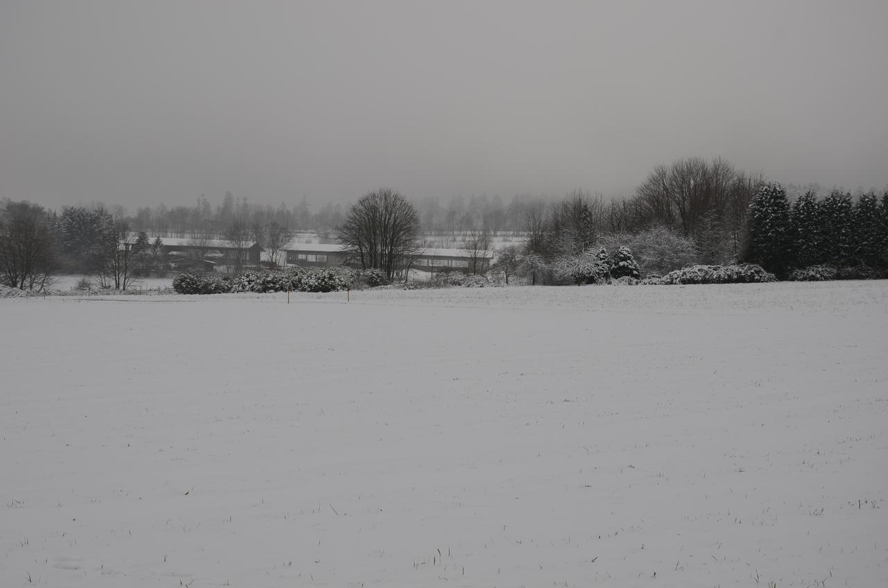 Gaestehaus Nagoldblick Pforzheim Bagian luar foto